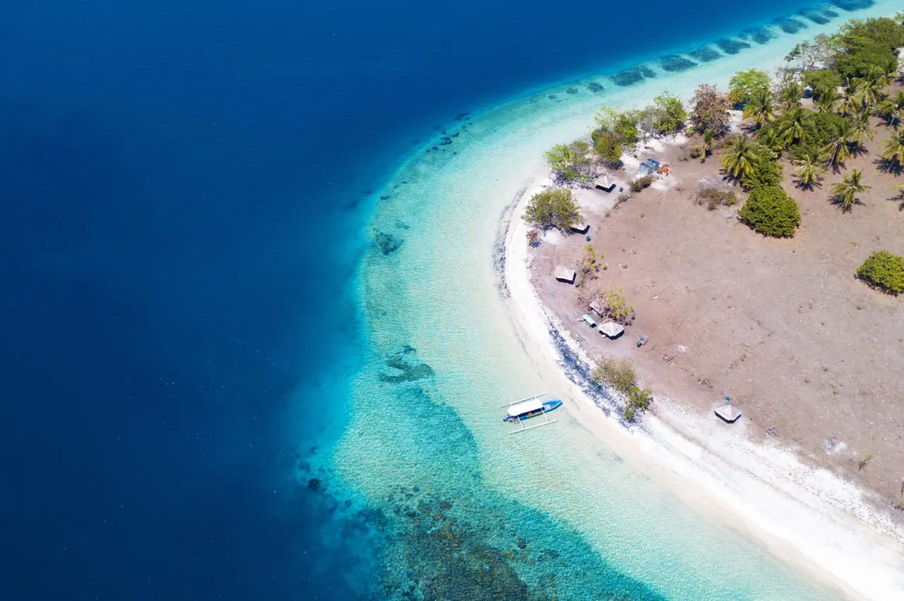 Cycling notes: snobbery, female riders and dispensing with a brake – archive, 1895